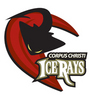 IceRays vs. Wildcats